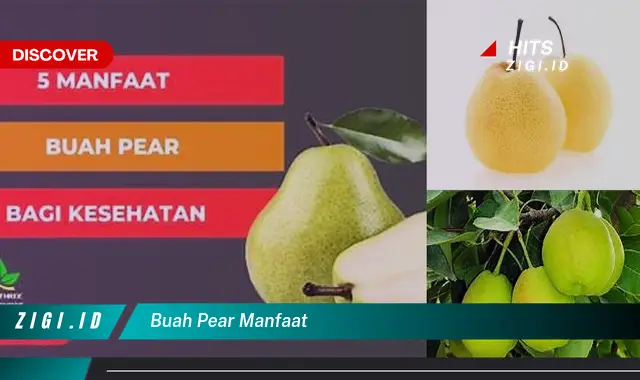 Ketahui 5 Manfaat Buah Pear Yang Bikin Kamu Penasaran