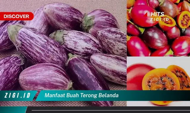 Ketahui Manfaat Buah Terong Belanda Yang Jarang Diketahui