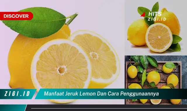 Temukan Manfaat Minum Kunyit Sebelum Tidur Yang Wajib Kamu Intip