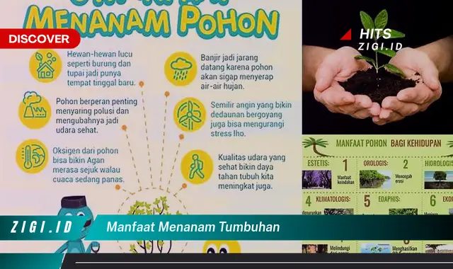 Temukan Manfaat Menanam Tumbuhan Yang Bikin Kamu Penasaran