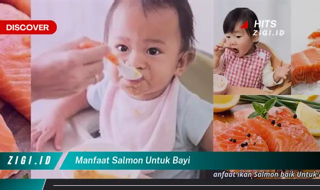 Ketahui Manfaat Salmon Untuk Bayi Yang Bikin Kamu Penasaran