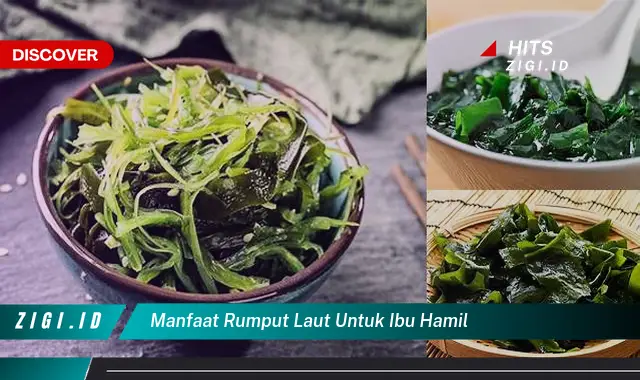 Temukan 5 Manfaat Rumput Laut Yang Jarang Diketahui Khusus Untuk Ibu Hamil