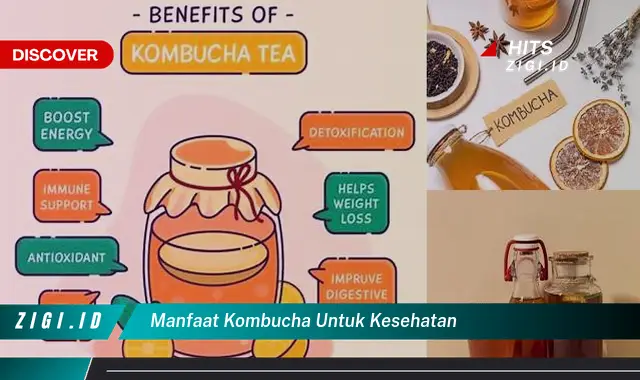 Ketahui Manfaat Kombucha Untuk Kesehatan Yang Bikin Kamu Penasaran