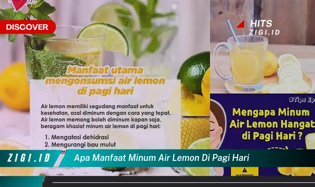 Temukan 5 Manfaat Minum Air Lemon di Pagi Hari yang Bikin Kamu Penasaran