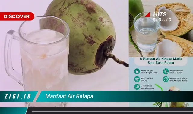 Ketahui Manfaat Air Kelapa Yang Jarang Diketahui