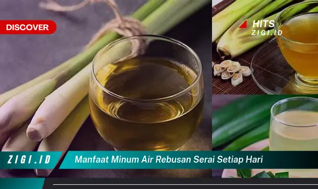 Temukan 5 Manfaat Minum Air Rebusan Serai Setiap Hari Yang Bikin Kamu ...