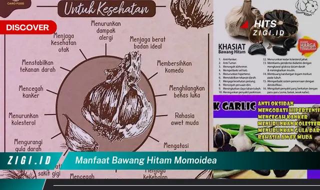 Temukan Manfaat Bawang Hitam Momoidea yang Bikin Kamu Penasaran