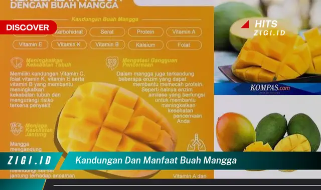 Ketahui Kandungan dan Manfaat Buah Mangga yang Bikin Kamu Penasaran