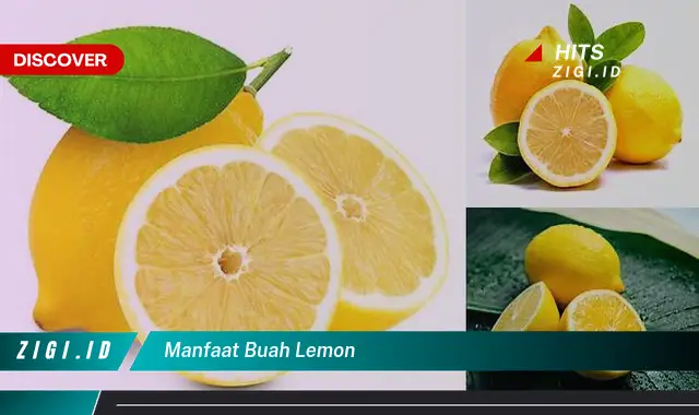 Ketahui 5 Manfaat Buah Lemon yang Wajib Kamu Intip