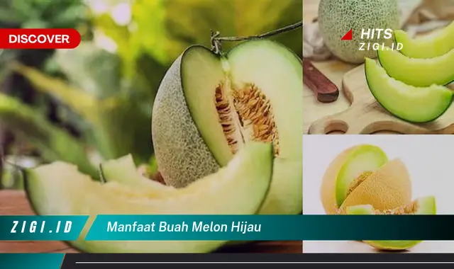 Temukan Manfaat Buah Melon Hijau yang Wajib Kamu Tahu!