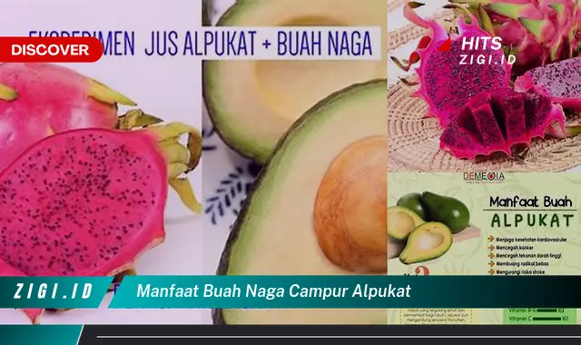 Ketahui 5 Manfaat Buah Naga Campur Alpukat yang Bikin Kamu Penasaran