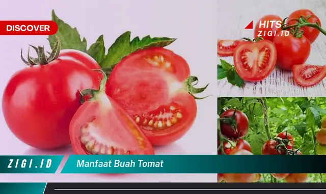 Temukan manfaat buah tomat yang Bikin Kamu Penasaran