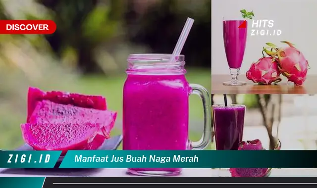 Ketahui Manfaat Jus Buah Naga Merah yang Wajib Kamu Ketahui