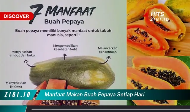 Ketahui Manfaat Makan Buah Pepaya Setiap Hari yang Jarang Diketahui