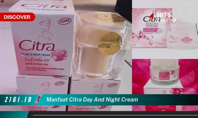 Ketahui Manfaat Rahasia Citra Day and Night Cream yang Wajib Kamu Intip