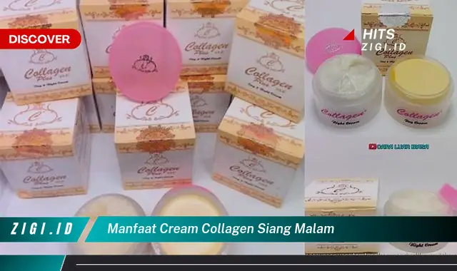 Temukan Manfaat Cream Collagen Siang Malam yang Bikin Kamu Penasaran!