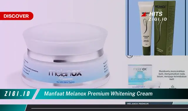 Temukan Manfaat Meladox Premium Whitening Cream yang Bikin Kamu Penasaran!
