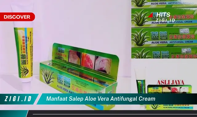 Temukan Manfaat Salep Aloe Vera Antifungal Cream yang Jarang Diketahui