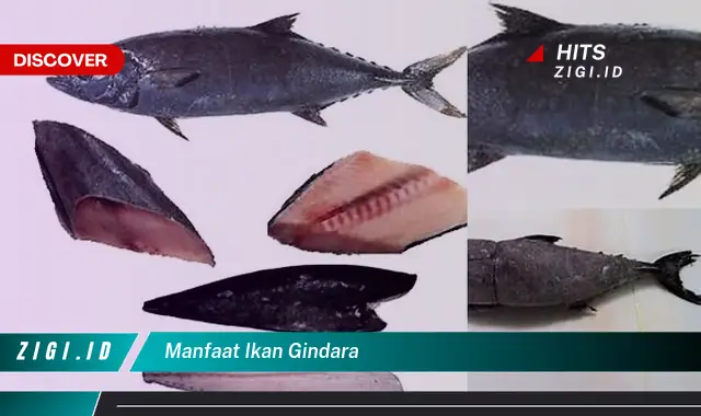 Temukan Manfaat Ikan Gindara yang Bikin Kamu Penasaran