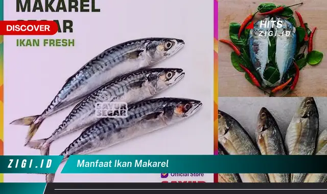 Ketahui Manfaat Ikan Makarel yang Bikin Kamu Penasaran
