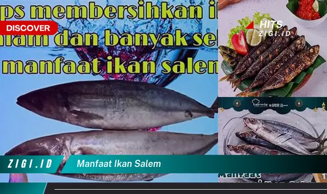 Temukan Manfaat Ikan Salem yang Bikin Kamu Penasaran