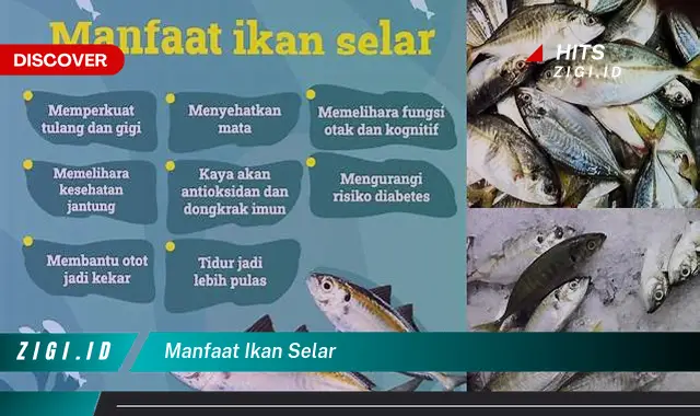 Kenali Manfaat Ikan Selar Bikin Penasaran yang Wajib Kamu Ketahui