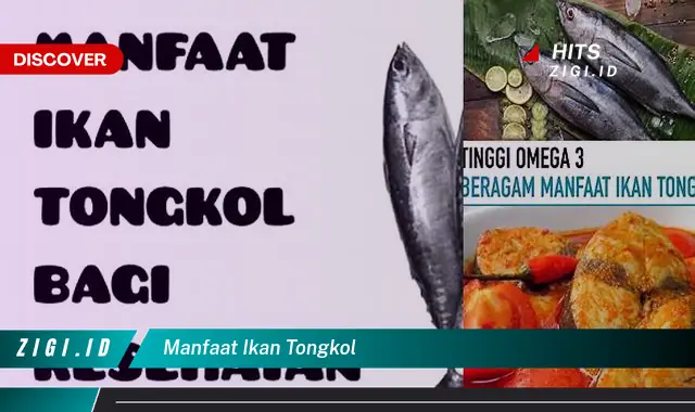 Temukan Manfaat Ikan Tongkol yang Wajib Kamu Intip