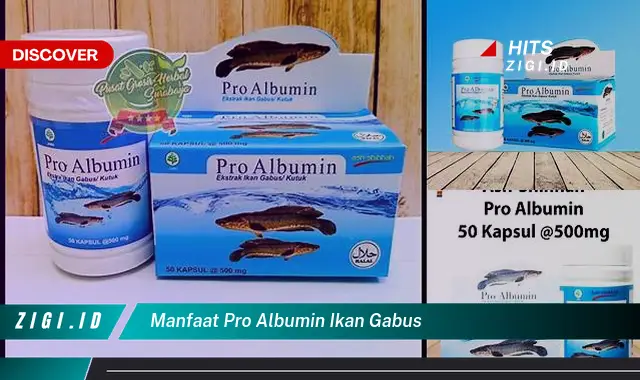 Temukan 5 Manfaat Pro Albumin Ikan Gabus yang Wajib Kamu Intip