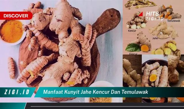 Temukan Manfaat Kunyit Jahe Kencur Dan Temulawak Yang Bikin Kamu