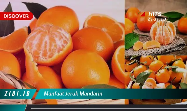 Temukan Manfaat Jeruk Mandarin yang Bikin Kamu Penasaran