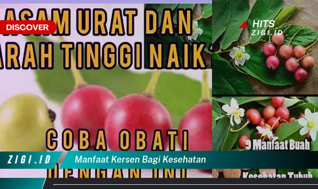 Temukan 5 Manfaat Kersen yang Bikin Kamu Penasaran Bagi Kesehatan