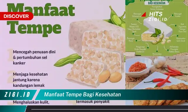 Ketahui Manfaat Tempe Bagi Kesehatan Yang Wajib Kamu Intip