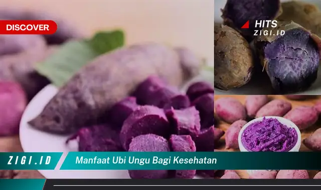 Ketahui Manfaat Ubi Ungu Bagi Kesehatan Yang Bikin Kamu Penasaran