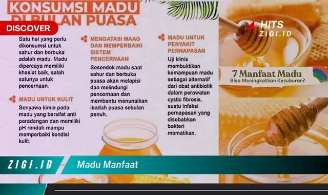 Ketahui Manfaat Madu yang Jarang Diketahui