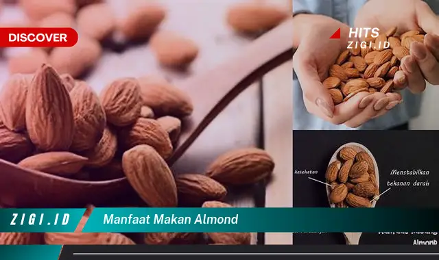 Temukan Manfaat Makan Almond yang Bikin Kamu Penasaran