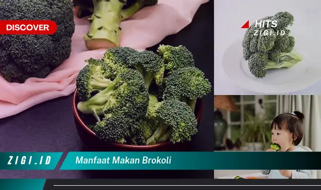 Ketahui Manfaat Makan Brokoli yang Bikin Kamu Penasaran