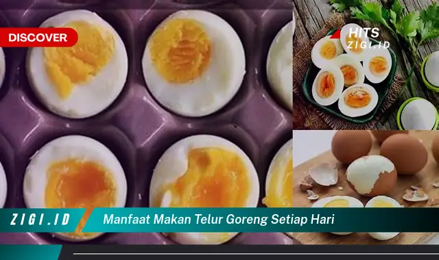 Temukan Manfaat Makan Telur Goreng Setiap Hari yang Jarang Diketahui