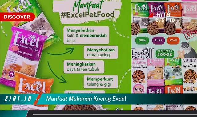 Temukan Manfaat Makanan Kucing Excel yang Wajib Kamu Tahu