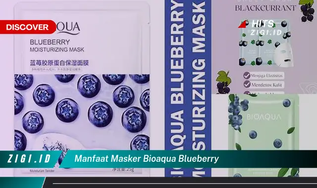 Temukan Manfaat Masker Bioaqua Blueberry yang Bikin Kamu Penasaran