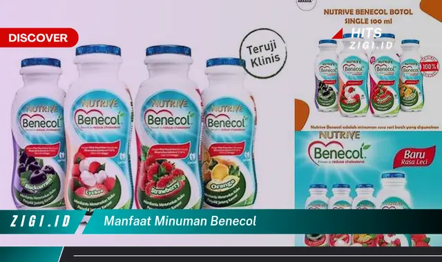 Ketahui Manfaat Minuman Benecol yang Wajib Kamu Intip!