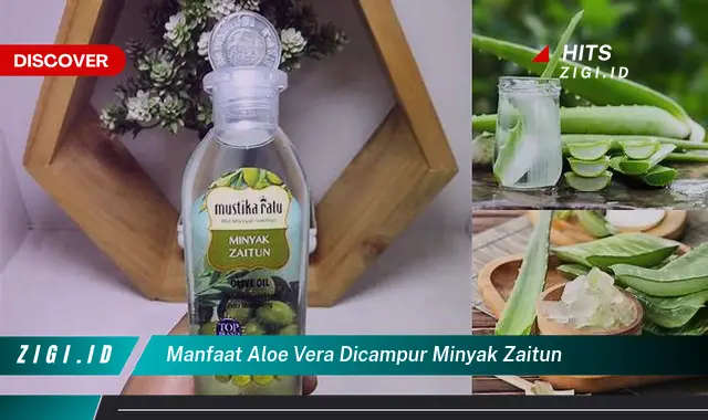 Ketahui Manfaat Aloe Vera Dicampur Minyak Zaitun yang Wajib Kamu Intip