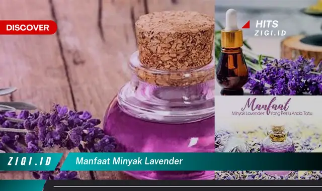 Temukan Manfaat Minyak Lavender yang Jarang Diketahui!
