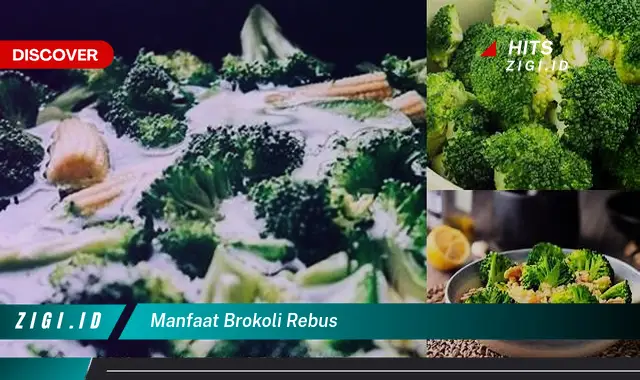 Temukan Manfaat Rebusan Brokoli yang Jarang Diketahui