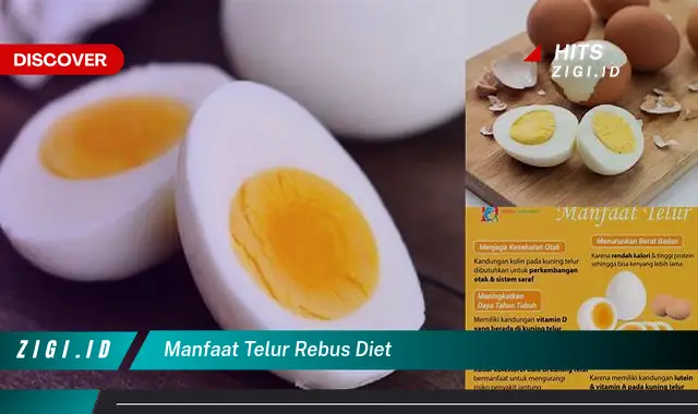 Ketahui Manfaat Telur Rebus Diet Yang Wajib Kamu Intip