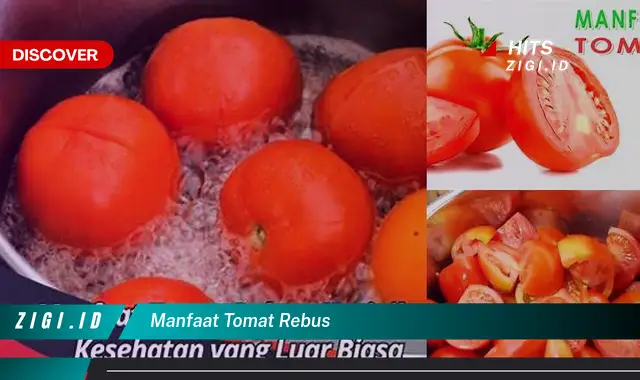 Ketahui 5 Manfaat Tomat Rebus yang Bikin Kamu Penasaran