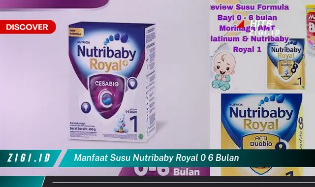 Temukan Manfaat Susu Nutribaby Royal 0-6 Bulan yang Jarang Diketahui