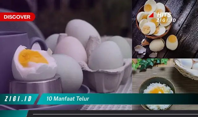 Temukan 5 Manfaat Telur yang Bikin Kamu Penasaran