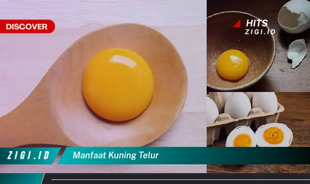 Ketahui Manfaat Kuning Telur yang Bikin Kamu Penasaran