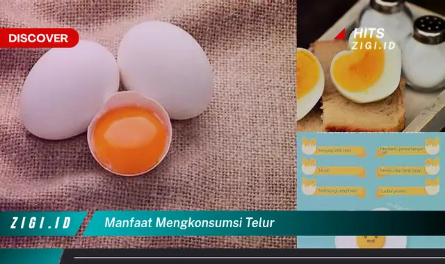 Ketahui Manfaat Mengkonsumsi Telur yang Wajib Kamu Ketahui