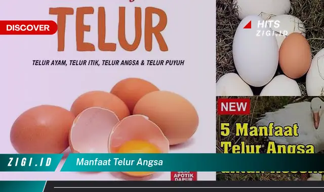 Temukan Manfaat Telur Angsa yang Wajib Kamu Ketahui